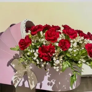 Cochecito Rosa de Claveles