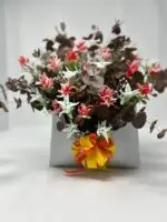 Sobre Plata de Eucalipto y Flores de Chuche